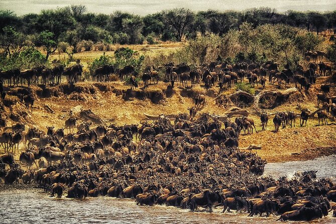 3 Days Safari Tour in Maasai Mara - Food, lodging, and the small things that matter