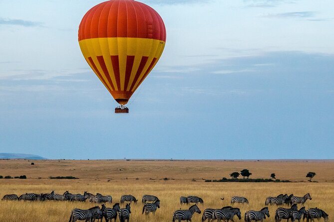 3 Days Safari Tour in Maasai Mara - Who should book this Maasai Mara safari