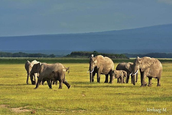 3 Days safari Tsavo East and Amboseli national park. - Day two: Tsavo East to Amboseli