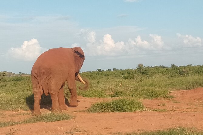 3 Days safari Tsavo East and Amboseli national park. - Who should book this safari