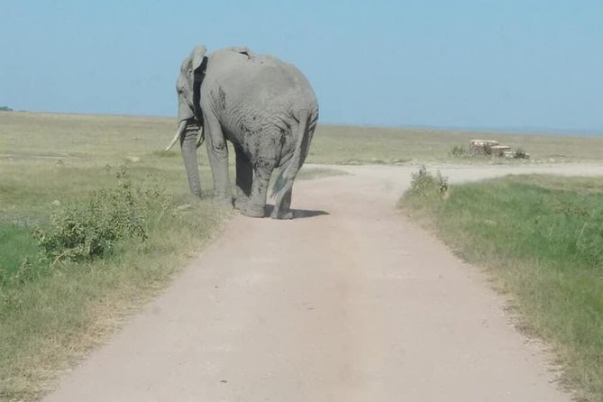 3 Days safari Tsavo East and Amboseli national park. - Day one: the early road to Tsavo East