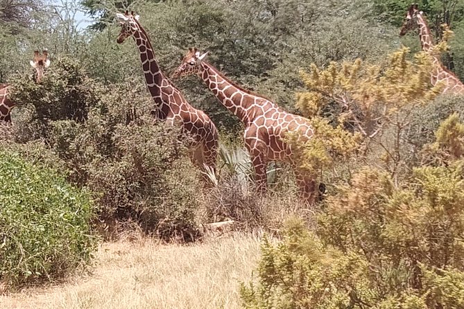 3 days safari Tsavo East and West - Why this Tsavo route works