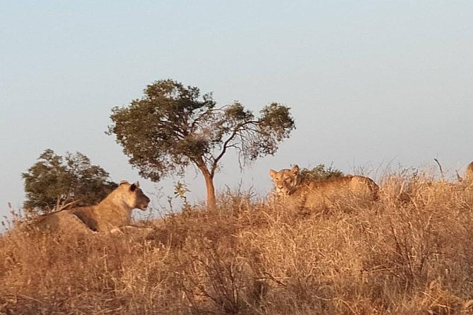 3 days safari Tsavo East and West - The final morning and the long road back