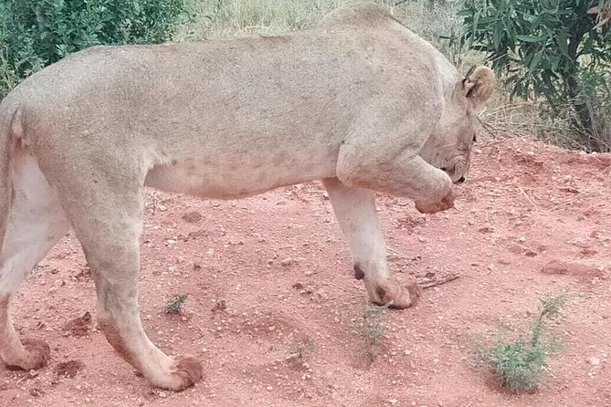 3 days safari Tsavo East and West - What $850 buys you, and what to confirm