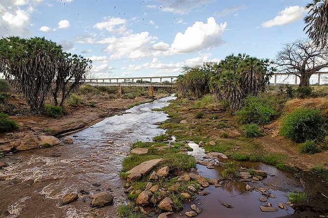 3 Days Tsavo East & Amboseli (2 Nights) - What the private format really adds