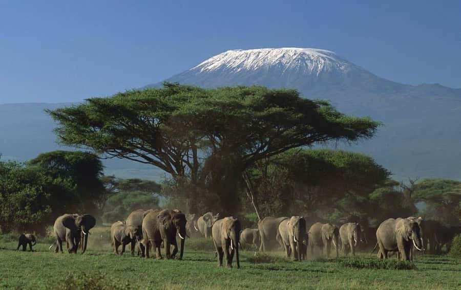 3 days Tsavo East and Amboseli safari from Diani/Mombasa - Lunch and an afternoon drive in Tsavo East
