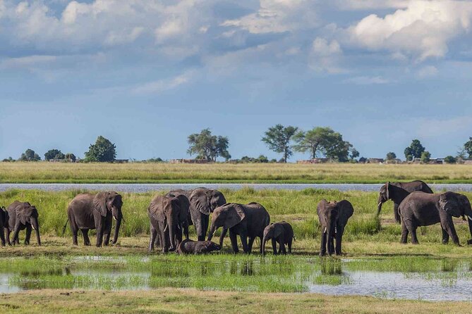 3 Days Unforgettable Masai Mara Safari Tour - Checking into Lenchada Tented Camp