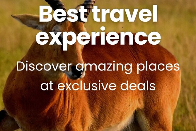 3 Days Unforgettable Masai Mara Safari Tour - The final morning and return to Nairobi