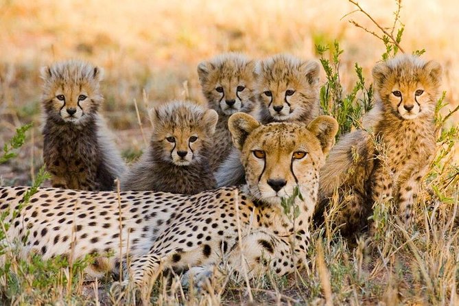 3 nights exclusive Masai Mara safari - Day 1: Rift Valley views and the road south