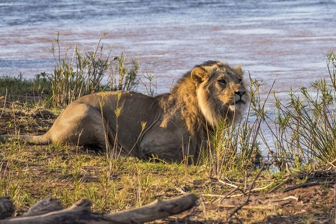 3 nights exclusive Masai Mara safari - Accommodation, meals, and what the price covers