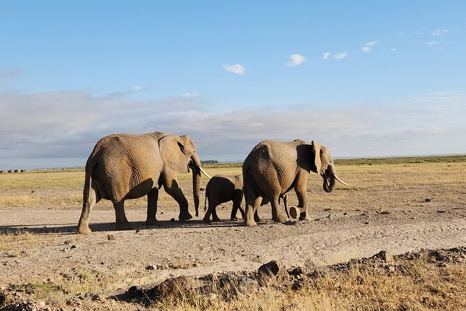 3day Amboseli Park Private safari - Day three: sunrise, breakfast, and the return to Nairobi