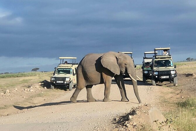 3day Amboseli Park Private safari - Who should book this Amboseli safari?