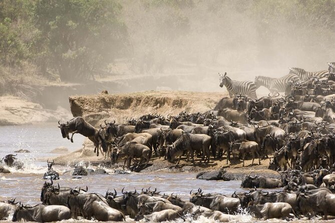 3days/2nights group joining Masai Mara with Masai Village Visit - The full Mara day, from 6:30 a.m. to 5 p.m.