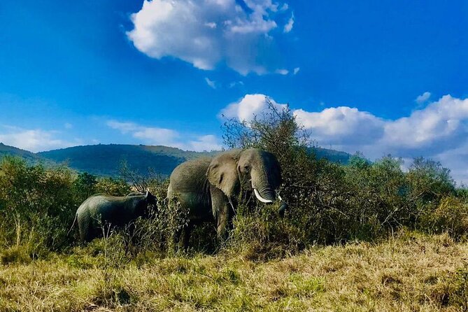 3days/2nights group joining Masai Mara with Masai Village Visit - The Maasai village visit on the final morning