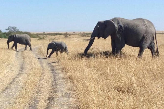 3days/2nights group joining Masai Mara with Masai Village Visit - Leaving Nairobi for the Mara