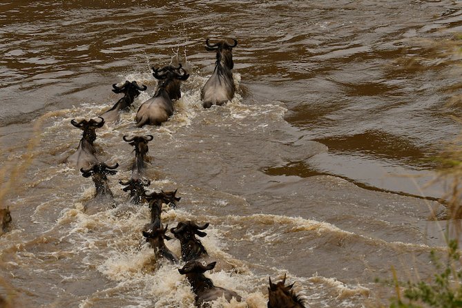 3days Masai Mara private safari with a 4x4 land cruiser Jeep - Day one: Nairobi to the Great Rift Valley and Masai Mara
