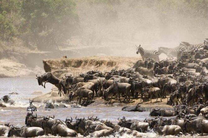 4-Day Group Safari to Maasai Mara & Lake Nakuru- 4 x 4 jeep - The first Maasai Mara game drive, from 4 to 6 p.m.