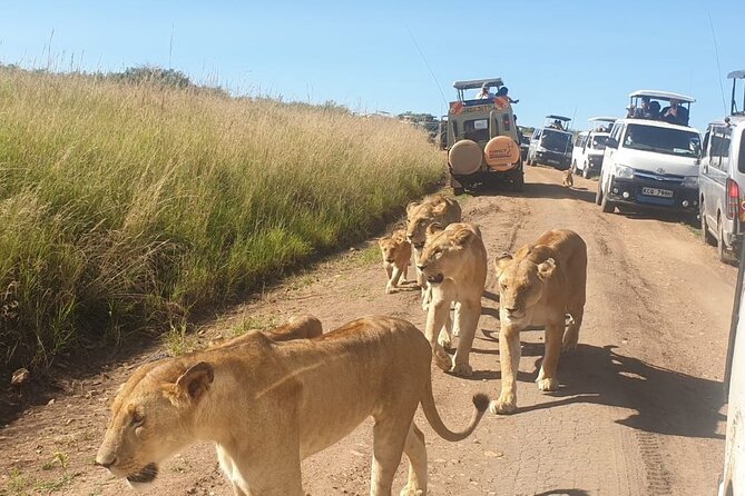 4 Day Group Tour to Maasai Mara and Lake Nakuru by a 4WD Cruiser - Day 3: Leaving the Mara and heading toward Nakuru