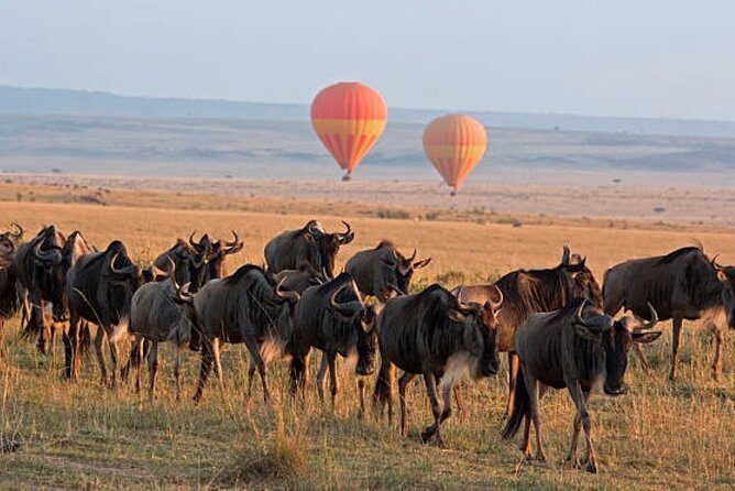 4 Day Group Tour to Maasai Mara and Lake Nakuru by a 4WD Cruiser - Day 4: Rhinos, flamingos, and Makalia Waterfalls