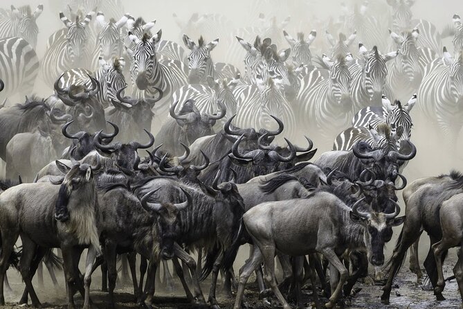 4-Day Masai Mara and Lake Nakuru Safari Tour from Nairobi - Practical details that affect your comfort