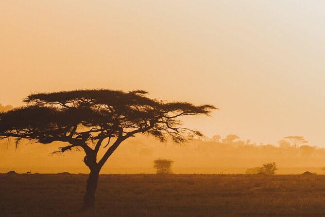 4-Day Masai Mara and Lake Nakuru Safari Tour from Nairobi - Day one: Nairobi, the Rift Valley, and your first Mara drive