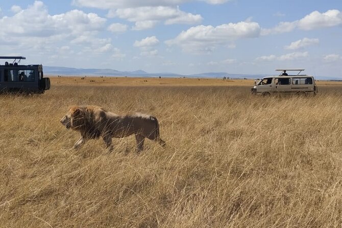 4-Day Masai Mara, L Naivasha and L Nakuru Safari - Nairobi to the Mara, with a Rift Valley pause