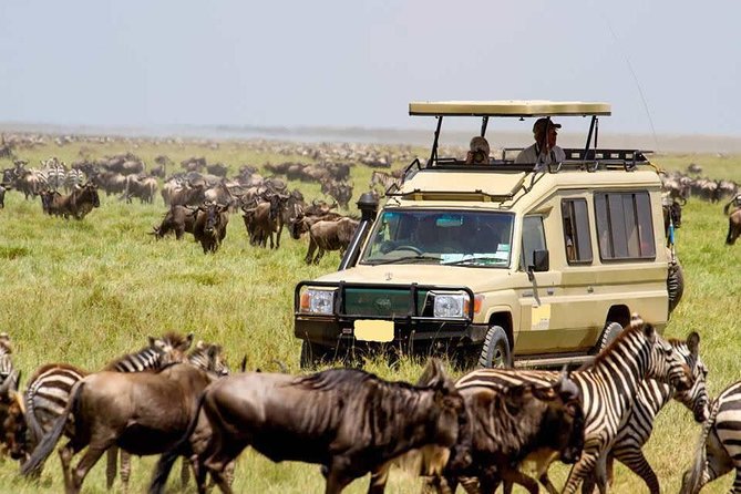 4 Day Masai Mara & Lake Nakuru Group Joining Camping Safari - Daily Departures - Day one: Nairobi, the Great Rift Valley, and Maasai Mara
