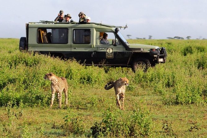 4 Day Masai Mara & Lake Nakuru Group Joining Camping Safari - Daily Departures - Guides can shape the whole experience