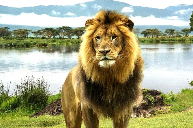 4 Day Masai Mara & Lake Nakuru Group Joining Camping Safari - Daily Departures - Day two: A full day beside the Mara River