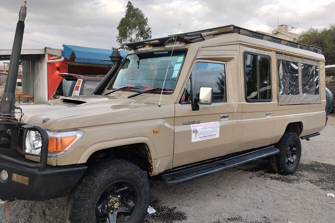 4-Day Masai Mara - Luxury Private safari (JEEP) - Day 2: a full safari day and the Mara River