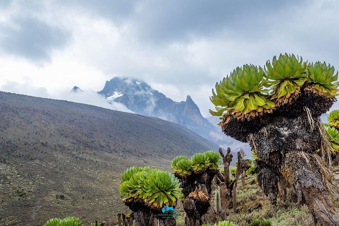 4 Day Mount Kenya Trek Up Chogoria Down Sirimon - What the scenery gives you