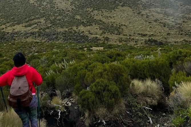 4-Day Mount Kenya Trekking with Pick Up - Who should choose this route?