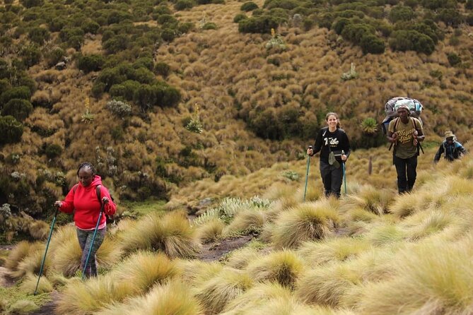4-Day Mount Kenya Trekking with Pick Up - Day 1: Nairobi to Sirimon Gate and Old Moses