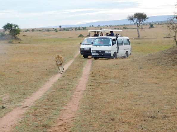 4 Day Private Masai Mara National Reserve & Lake Nakuru National Park Safari - Day one: Nairobi to Lake Nakuru by way of the Rift Valley