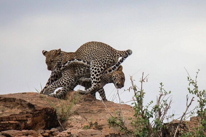 4-Day Tour in Lake Nakuru, Lake Naivash, Masai Mara from Nairobi - Lake Naivasha by boat