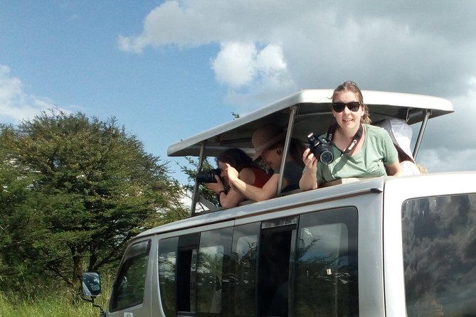 4-Day Tsavo East West and Amboseli National Park from Mombasa - Lodges, meals, and comfort expectations