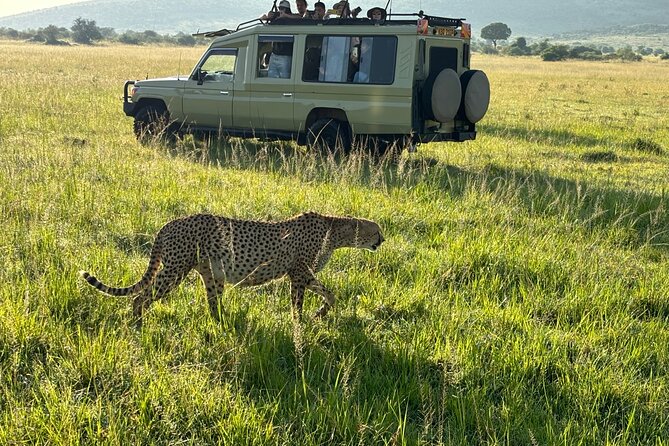 4 Days 4WD Private Maasai Mara, Nakuru Parks with Lodge LUXURY - Leaving Nairobi for the Maasai Mara