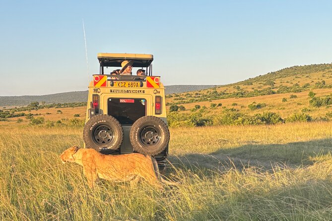 4 Days 4WD Private Maasai Mara, Nakuru Parks with Lodge LUXURY - Lodge comfort, meals, and the private vehicle