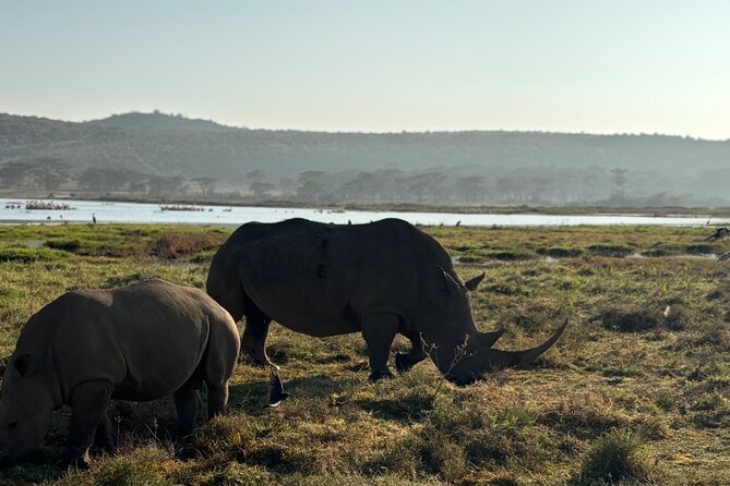 4 Days 4WD Private Maasai Mara, Nakuru Parks with Lodge LUXURY - Who will get the most from this route