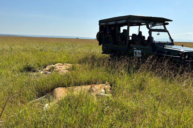 4 Days 4WD Private Maasai Mara, Nakuru Parks with Lodge LUXURY - Booking details worth confirming