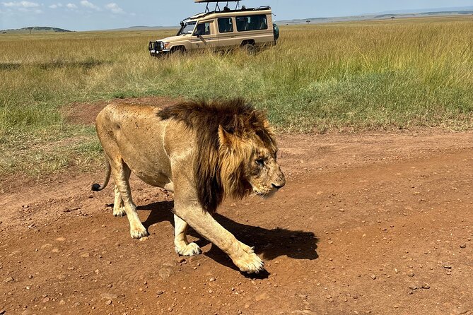 4 Days 4WD Private Maasai Mara, Nakuru Parks with Lodge LUXURY - Should you book this Maasai Mara and Nakuru safari?