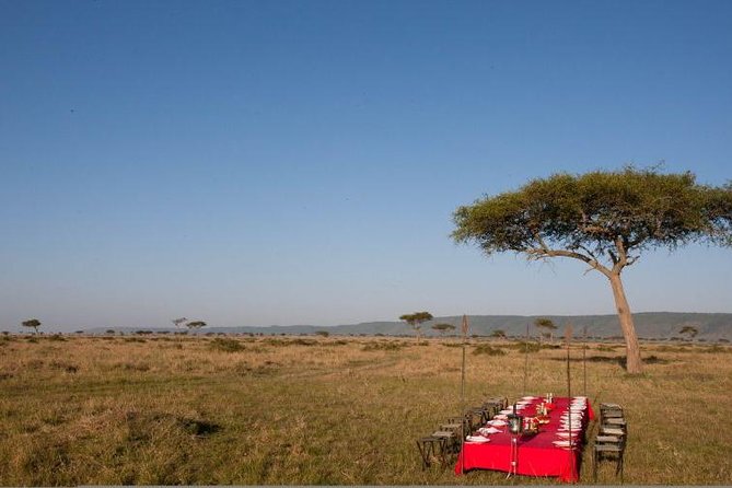 4 Days Enthralling Safaris in Kenya-lake Nakuru Masai Mara - From Nairobi to Lake Nakuru’s flamingo waters