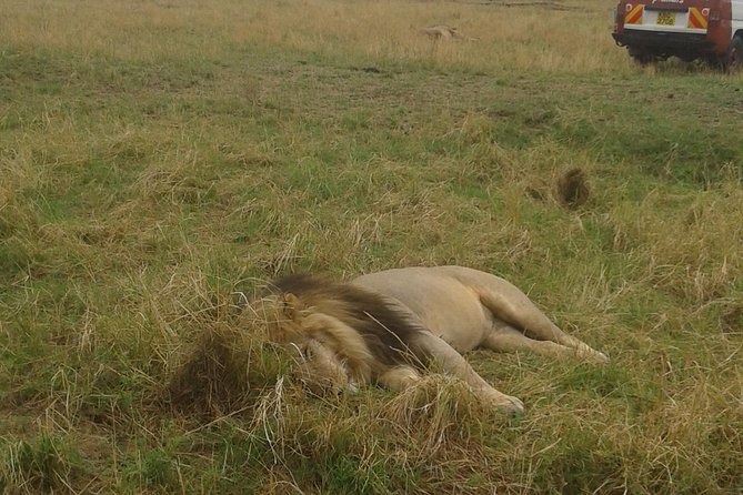 4 days group joining budget safari to Maasai Mara only - Day one: Nairobi, the Rift Valley, and an evening drive