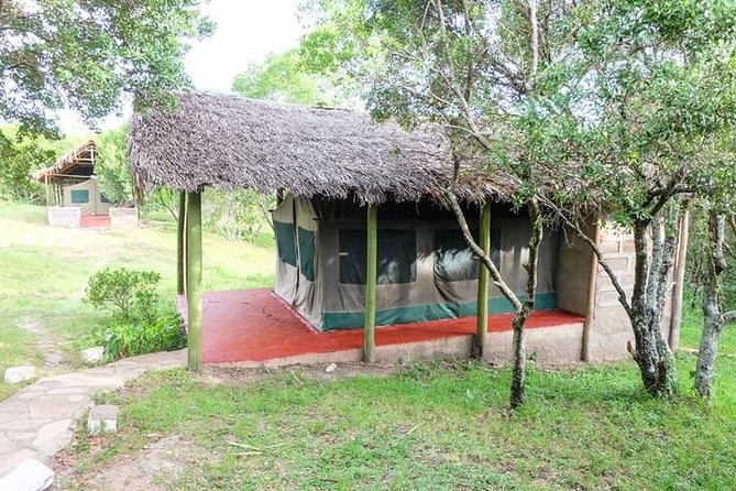 4 days group joining budget safari to Maasai Mara only - The guides: the people who shape the experience