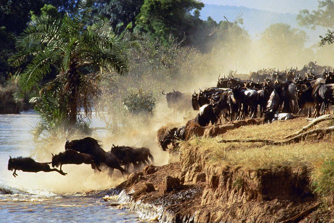 4 days group joining budget safari to Maasai Mara only - Food, lodging, and the practical tradeoffs