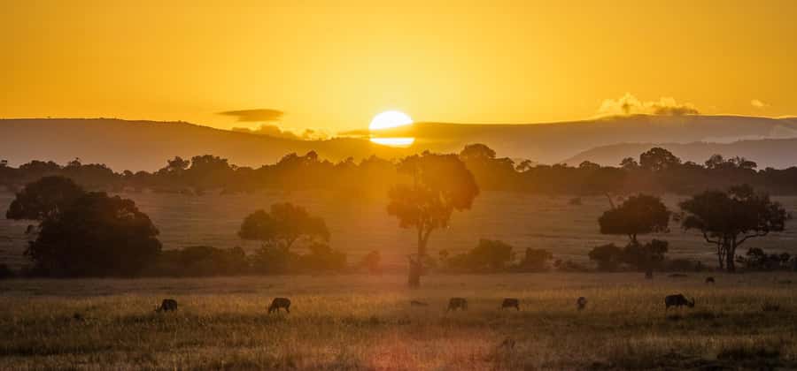 4 Days group safari in a safari van With no park fees - What the $350 price really covers