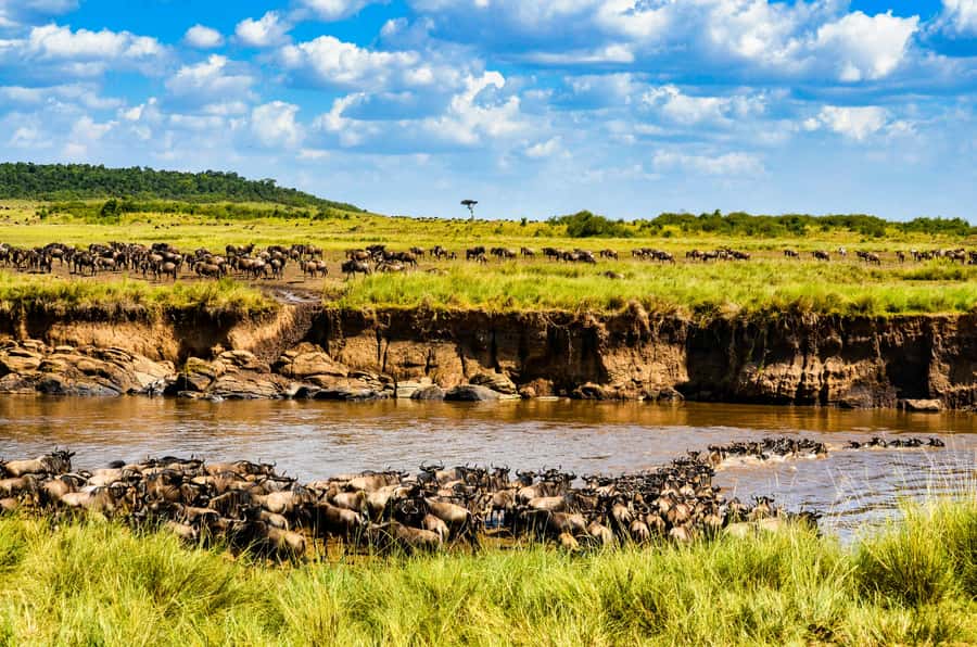 4 days Group safari in Masaai Mara and Lake Nakuru Park - FAQ