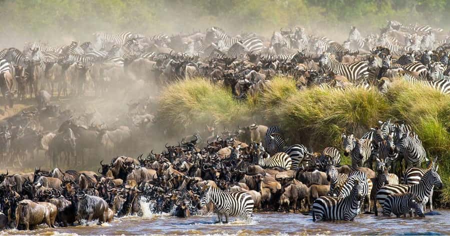 4 days Group safari in Masaai Mara and Lake Nakuru Park - Day one: the Great Rift Valley and a first Mara sunset