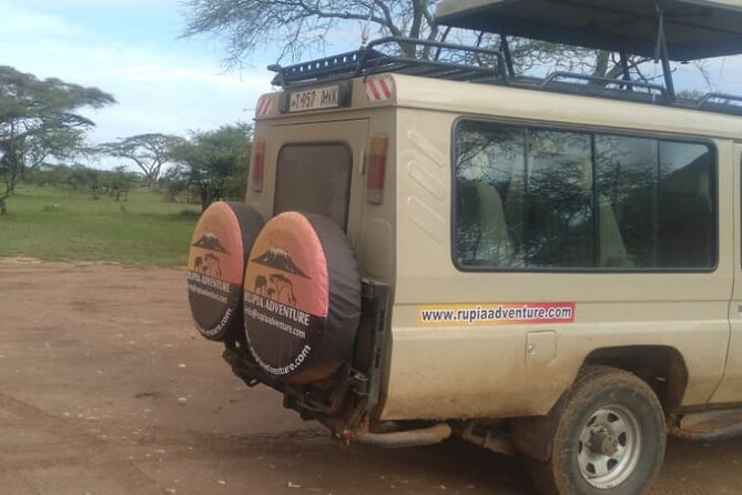 4 Days Kenya Safari - Who will enjoy this safari most