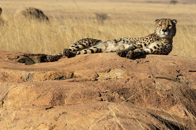 4 Days Lake Nakuru and Masai Mara Luxury Safari - Why Lake Nakuru is a smart first stop